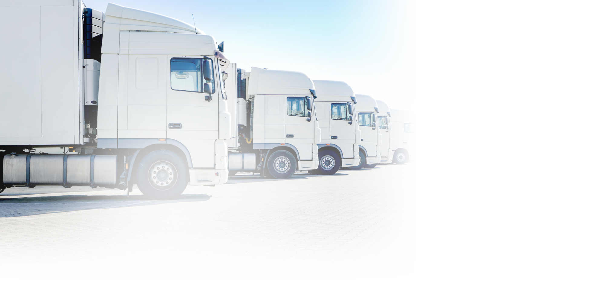 株式会社ティーウエスト